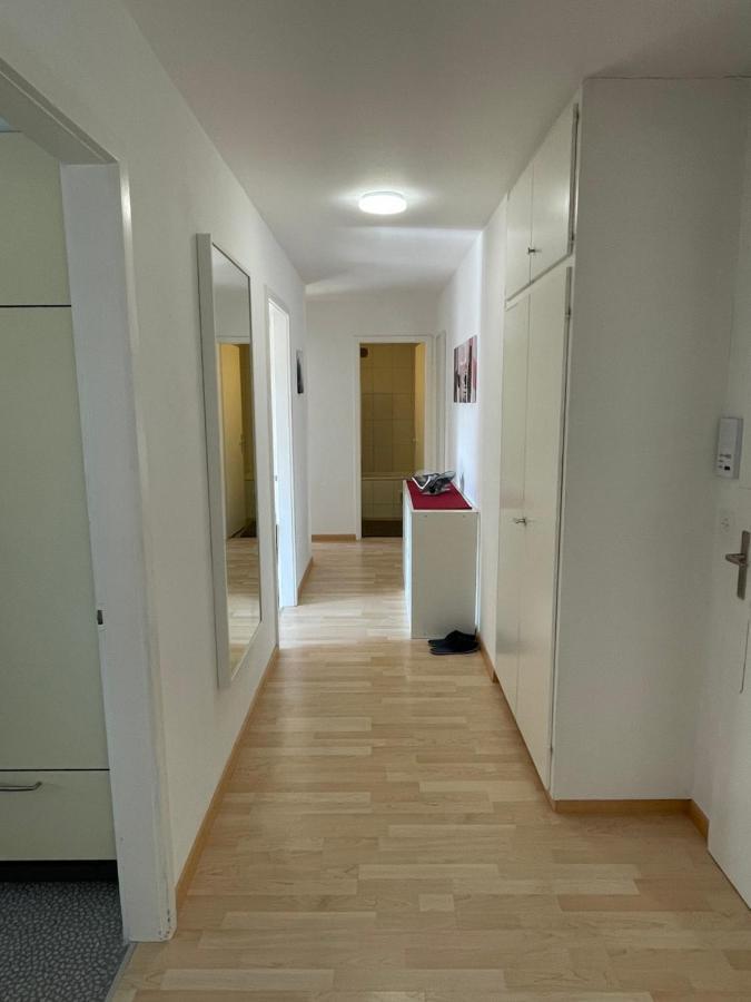 3-Room Apartment For Business Travelers & Families, Free Wifi & Tv With 70 Countries, Dazn, Sky, Netflix & Disney Wynau Exterior photo
